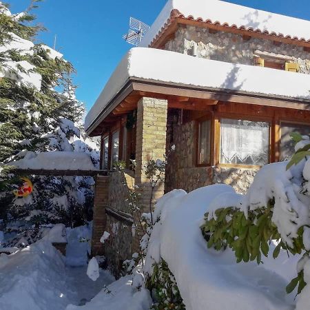 Livadi Chalet Arachova The Perfect Family Vacation Exterior photo